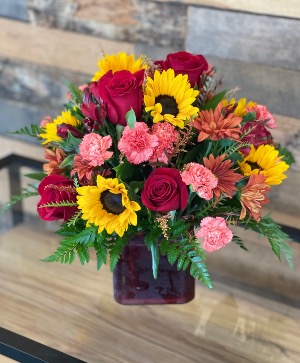 Fall Beauty  