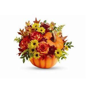 Fall Beauty Arrangement in Wauseon, OH | ANYTHING GROWS