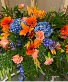 Purchase this funeral home arrangement