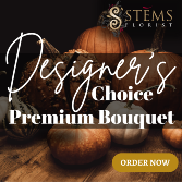 FALL BEAUTY PREMIUM DESIGNER'S CHOICE 