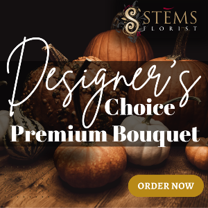 FALL BEAUTY PREMIUM DESIGNER'S CHOICE 