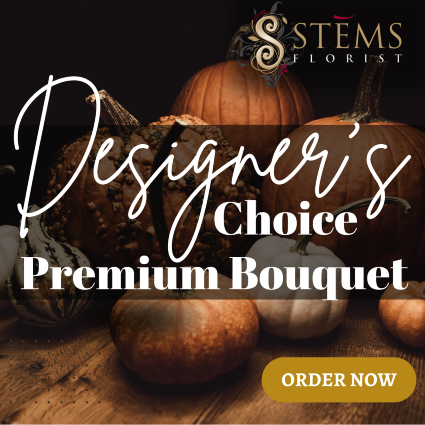 FALL BEAUTY PREMIUM DESIGNER'S CHOICE 