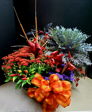Fall Blooming Basket Seasonal plants in a basket! in Mansfield, OH | Alta Florist Mansfield