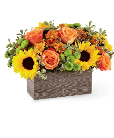 Fall Blooms - 00407  in Hagerstown, MD | TG Designs - The Flower Senders
