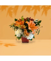 Fall Blooms Deal of the Week