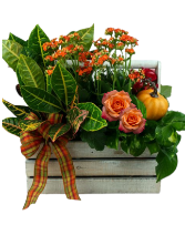 Fall Bounty Box