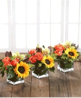 Fall Centerpieces 