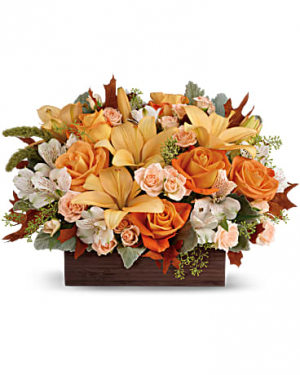 Fall Chic Bouquet in Stafford, VA | Peg's Florist Fall Chic Bouquet in Stafford, VA | Peg's Florist
