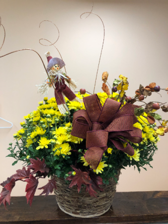 FALL CHRYSANTHEMUM PLANT