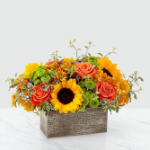 FALL CLASSIC Box Arrangement