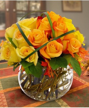 Fall Colored Roses 