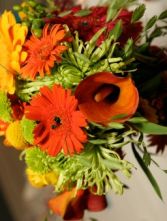 Assorted Gerberas Bouquet  (Janke Photography) 