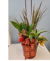 Fall Combo Pot 