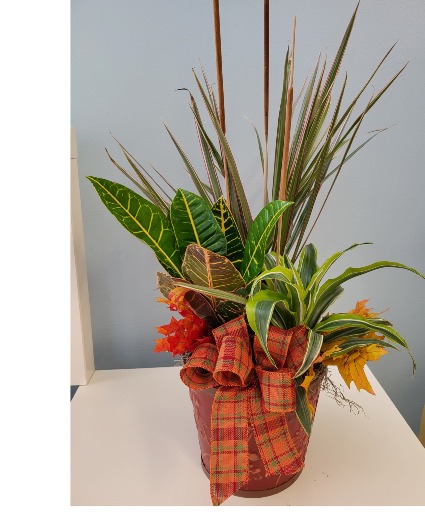 Fall Combo Pot