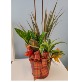 Fall Combo Pot 