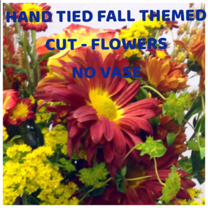 Fall cut flowers NO VASE HAND TIED