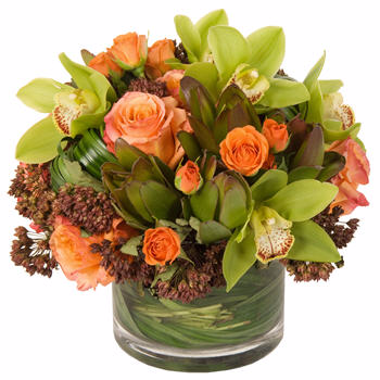 Fall Cymbidiums