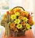 Fall Daisy Basket 