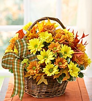 FALL DAISY BASKET Basket of Flowers