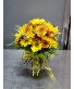 Fall Daisy of the Day  55.95 
