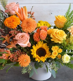 fall days  THANKSGIVING AND FALL 