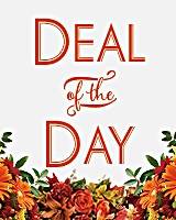 Fall Deal of the Day Arrangement in Croton On Hudson, NY | Cooke's Little Shoppe Of Flowers Fall Deal of the Day Arrangement in Croton On Hudson, NY | Cooke's Little Shoppe Of Flowers