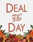 Fall Deal of the Day Arrangement