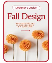 Fall Designers Choice 