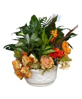 Fall Dish Garden 