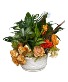 Fall Dish Garden 