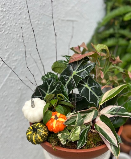 Fall Dish Garden