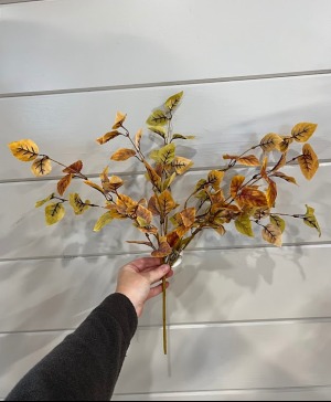 Fall Elm fall silk stem