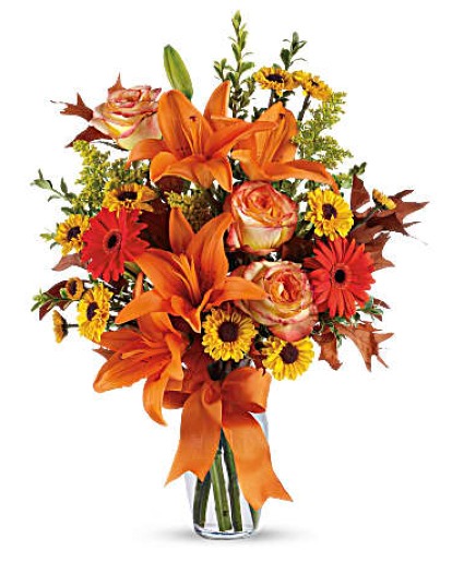 Fall Equinox