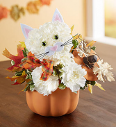 Fall Feline Halloween