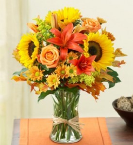 Fall Fields of Europe 