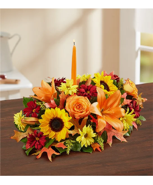 FALL FIELDS OF EUROPE CENTERPIECE  