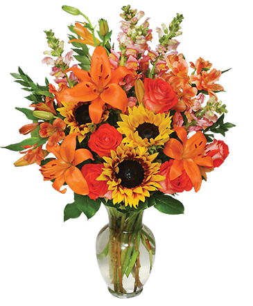 Fall Flower Gala Arrangement in Sunrise, FL | FLORIST24HRS.COM