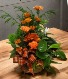 Fall Flowers  Dish Garden