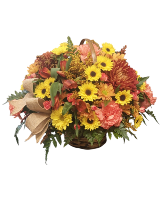 Fall Fly Away Basket Flower