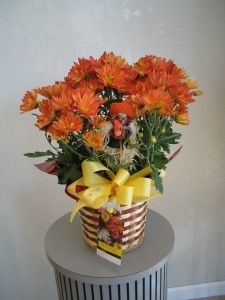 FALL FOLIAGE chrysanthemum
