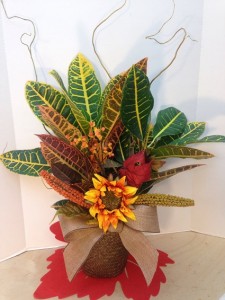 Fall for a Croton Fall plant arrangement