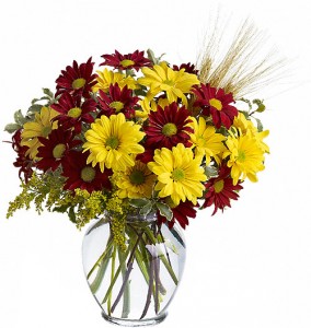 FALL For DAISIES Fall