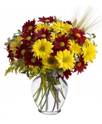 Fall For Daisies Bouquet