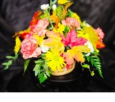 Fall fresh designers Choice  Fresh cut 