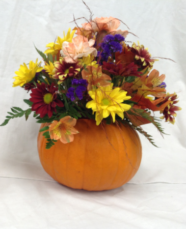 Fall Fresh Pumpkin Arrangement