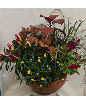 Fall Garden Basket Planter in Croton On Hudson, NY | Cooke's Little Shoppe Of Flowers