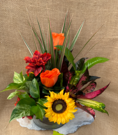Fall Garden Tin Dish Garden
