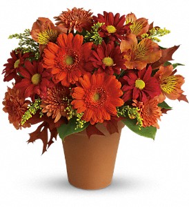 Fall  *Golden Glow  T174-1A   in Fort Worth, TX | DAVIS FLORAL DESIGNS
