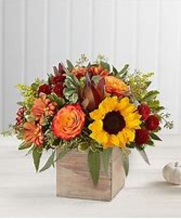 Fall Harvest  in Granger, IN | Yellow Rose Florist And Flower Basket