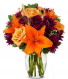 Fall Harvest  Fresh mixed colorful flowers 